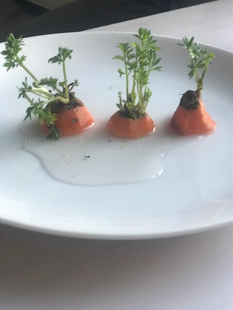 Carrots 3