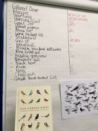 Photograph of Highfields school bird watching chart, including garden birds and sea birds