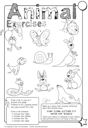 Animal exercises